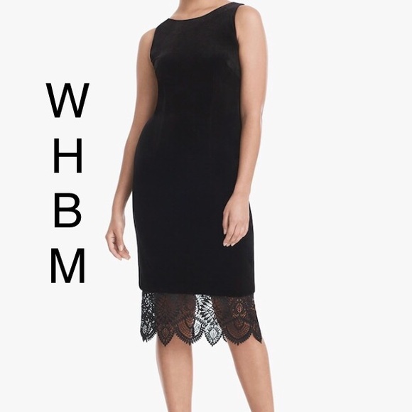 WHBM NWT Dress Velvet Sheath - Picture 2 of 7